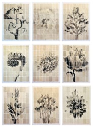 Joost Vandebrug, Not Yet The Image - Group of 9 Works