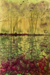 Albarrán Cabrera, The Indestructible #70005