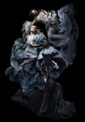 Carla van de Puttelaar, Synergia Series - VIII