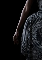 Carla van de Puttelaar, Synergia Series - VII