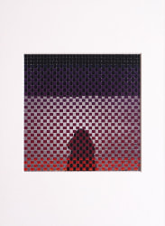 Zoë d’Hont, The observer