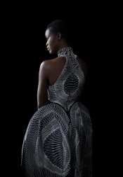 Carla van de Puttelaar, Synergia Series - XIII