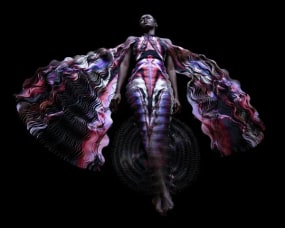 Carla van de Puttelaar, Synergia Series - XII