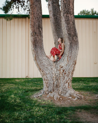 Tony Dočekal, Tree at Pima County