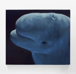 Hidetaka Suzuki, White