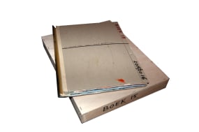 Dave Meijer, Boek # 15