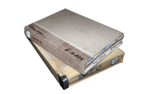 Dave Meijer, Boek # 9