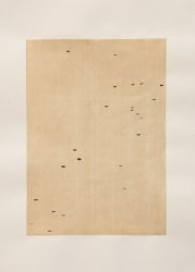 Le Nghi Teng, Becoming Air