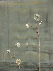 Heske de Vries, Japanese Paper Plant