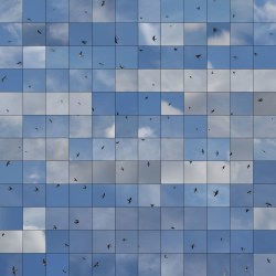 Edouard Taufenbach, Le Bleu du Ciel 3