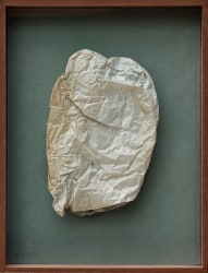 Ilse Pierard, CELL10226