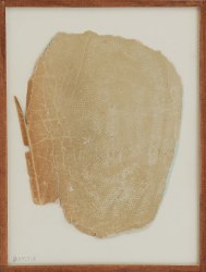 Ilse Pierard, CELL1192518