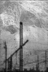 Faryda Moumouh, Scars  somewhere