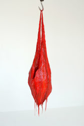 Esmee Seebregts, Though your sins be as Scarlet