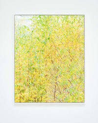 misha de ridder, i am nature #0205