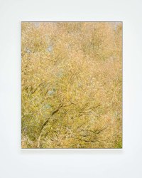 misha de ridder, i am nature # 0206