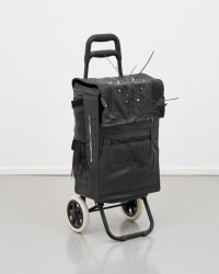 Emmeline de Mooij, Shopping Trolley