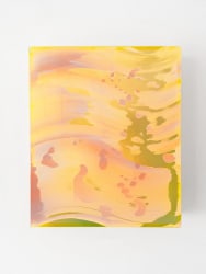 Lisette Schumacher, Coachella views VII