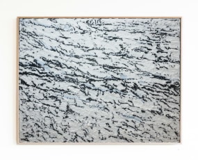 Thordur Hans, Svinafellsjökull