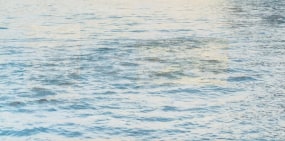 Margaret Lansink, Echoes of Waves #5