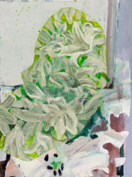 Chris Meulemans, Vanishing Vista