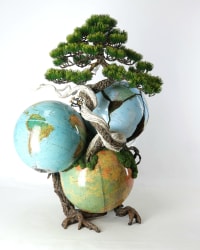 Patrick Bergsma, Expanding by nature 6, Roots