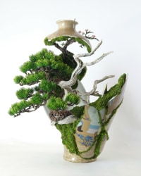 Patrick Bergsma, Resilient Satsuma