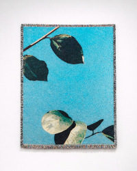 Sander Coers, Summer Came Eventually