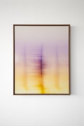 Donald Schenkel, Wandering Phantoms