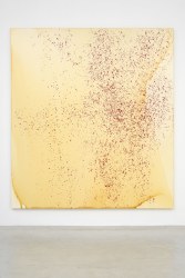 Callum Innes, Untitled