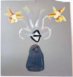 Stephen j Shanabrook, Unplanned Complicated Ending