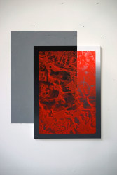 Martijn Schuppers, #2507