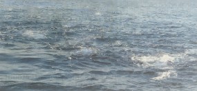 Celine van den Boorn, Sea of despair #9