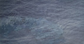 Celine van den Boorn, Sea of despair #8