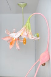 anna agaard jensen, madonna