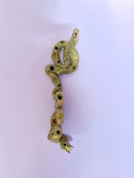 Marc Mulders, ‘Chrysopela-Paradiso’. 01.03.26