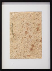 Melissa Moria, Innocence