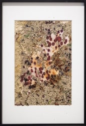 Melissa Moria, It's your party