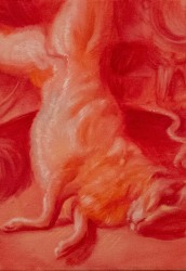 Sam Andrea, Red rabbit