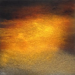 Kees de Vries, 2026 09