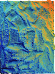 Esmee Seebregts, Orange Blue