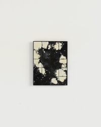 Tjitske Oosterholt, Transient waves