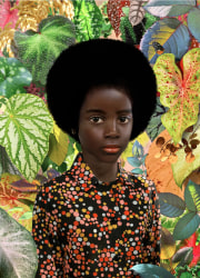 Ruud van Empel, Glance #2