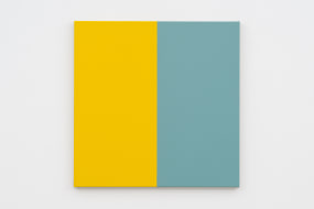 Steven Aalders, Two colours (Yellow/Blue)