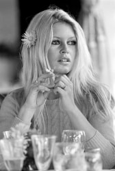 Terry O'Neill, Brigitte Bardot for Shalako