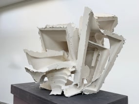 André Kruysen, My beautiful brain