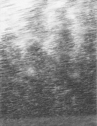 Raquel Maulwurf, Moving landscape XLIV
