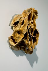 Mirte van Laarhoven, Emergence #4