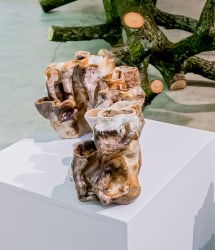 Mirte van Laarhoven, Listening Bodies - Earth