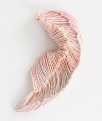 Daniela Bergschneider, Unfolding 2026